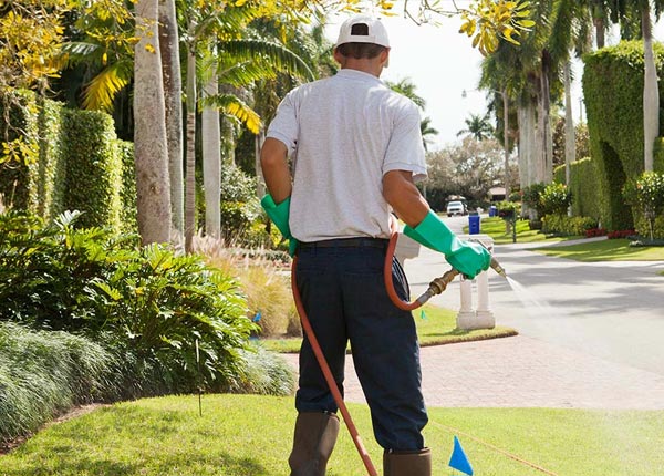 About Greenville TX Pest Control Pros